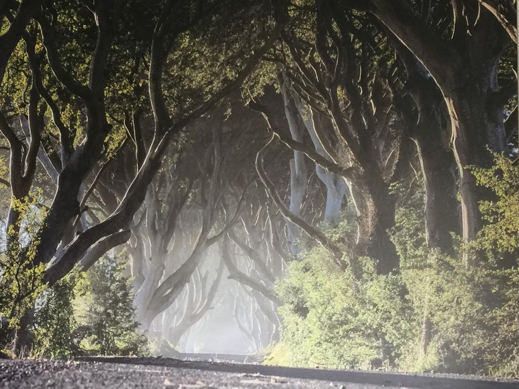 Dark Hedges Cottage Ballycastle Extérieur photo
